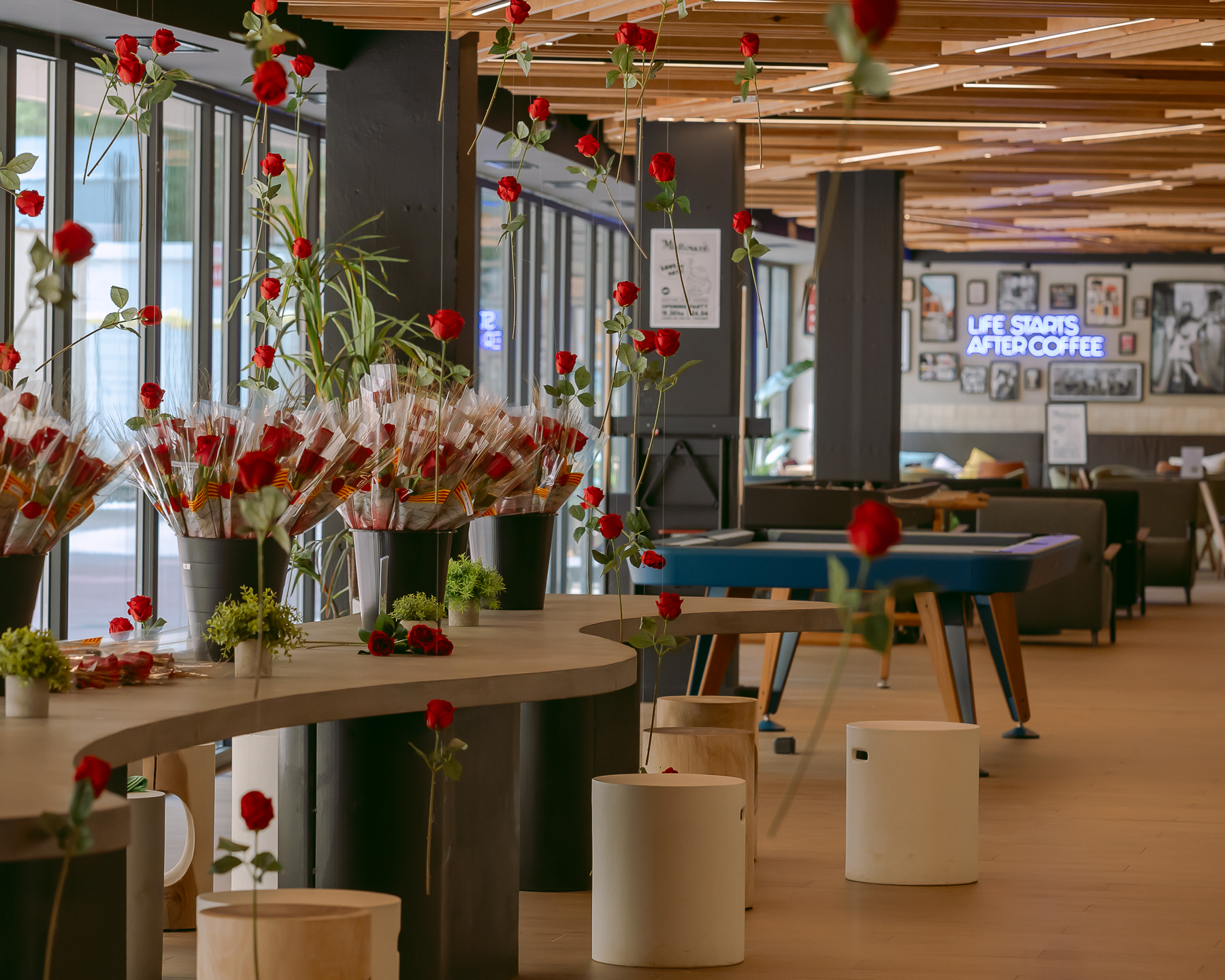 BLAU SANT JORDI Barcelona language academy